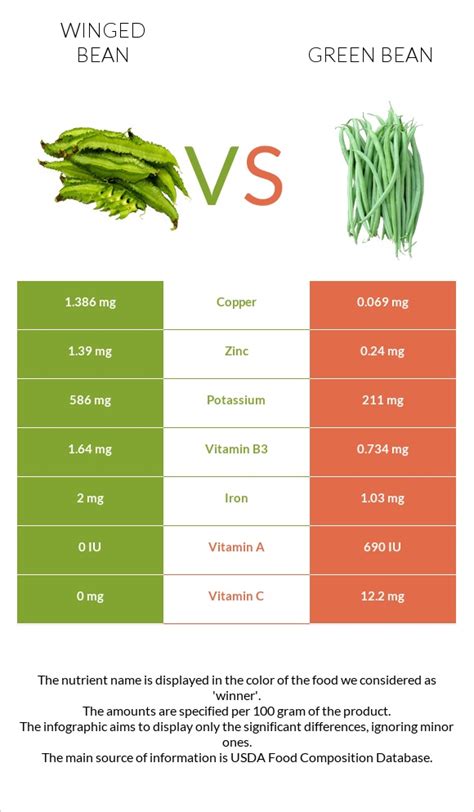 Winged Bean Vs Green Bean — In Depth Nutrition Comparison