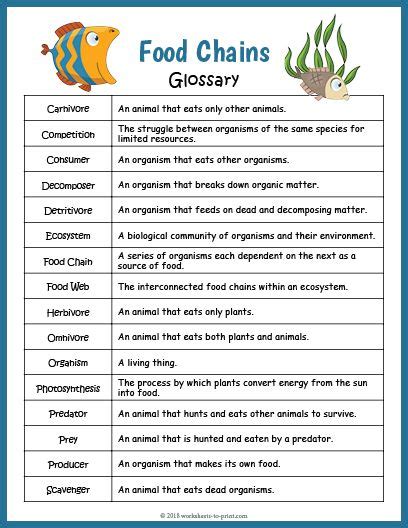 Help Yourself Or Your Students To Learn 16 Vocabulary Words With This