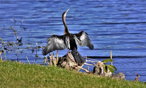 Everglades National Park Guide For A Memorable Trip To