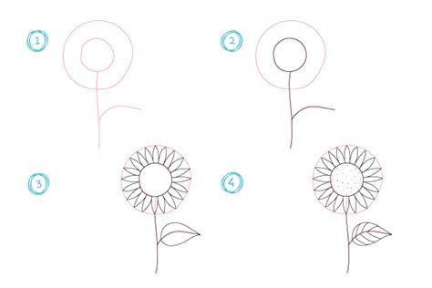 Per disegnare il più semplice dei fiori, a cinque o a sei petali, è sufficiente realizzare un cerchio più o meno piccolo, a seconda della dimensione del fiore che si desidera raffigurare. Disegni da colorare per bambini, come disegnare i fiori | Petit Fernand