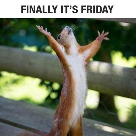 Finally Its Friday
