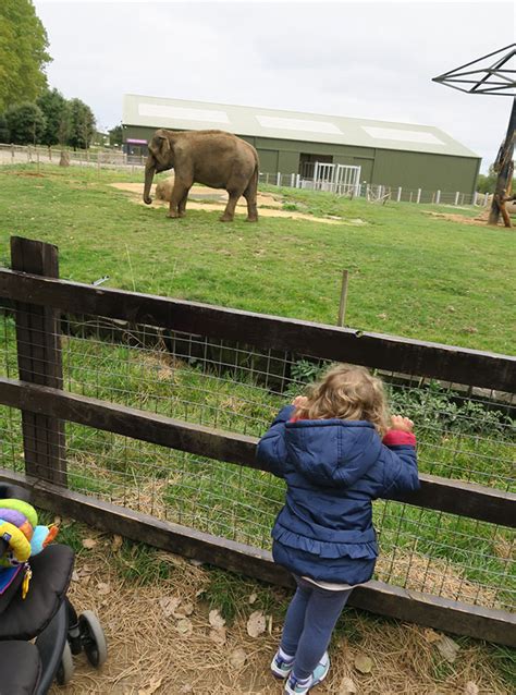 Review Of Zsl Whipsnade Zoo In South Bedfordshire By Jamie Baladi
