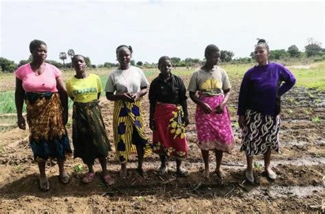 Malawi Women Lead The Restoration Plan Amid Flooding Awim News