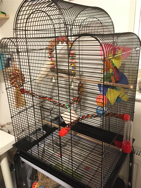Is This A Good Cage Set Up For A Single Budgiei Will Be Replacing The
