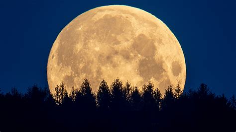 What Are The Different Types Of Full Moons Wowk 13 News