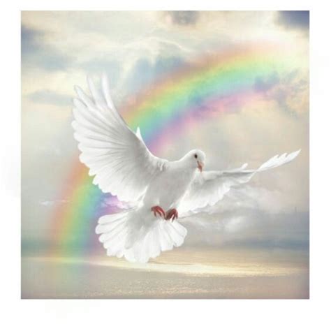 5 Reasons You Emigrated From Heaven Holy Spirit Dove Dove Painting