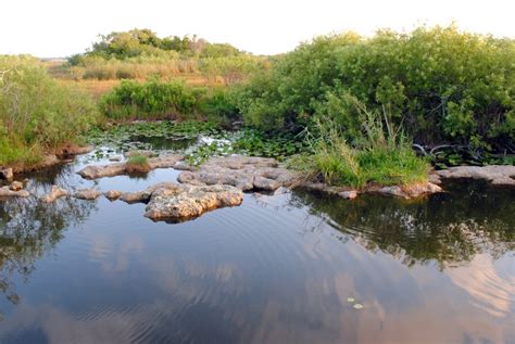 Everglades National Park Photos D Habitats