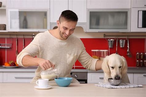 Cooking For Your Dog Pros And Cons Of Cooking Homemade Dog Food