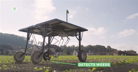 Look At This Ecorobotix Solar Powered Robot Weed Picker