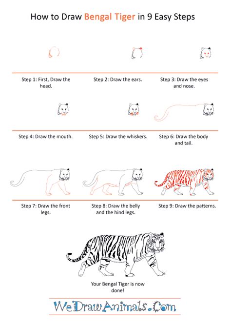 How To Draw A Realistic Bengal Tiger
