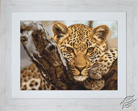 Hobbies and crafts crochet blanket cross stitch patterns free dog crafts modern cross stitch patterns pixel art plastic canvas christmas simple embroidery canvas. CROSS STITCH KITS - LUCA-S - Animals - Leopard - Gvello Stitch