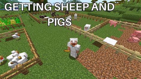 Minecraft Survival Gameplay Getting Sheep And Pigs Creepergg