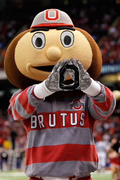 Ohio State Buckeyes Mascot Name Mop Squad Sports Ohio State