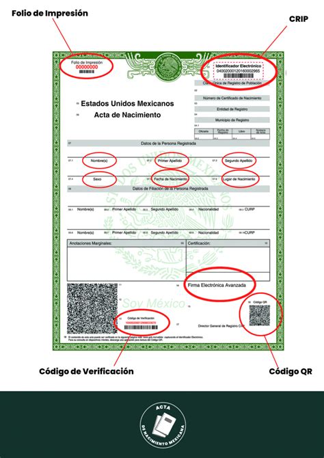 Recursos Gráficos de un Acta de Nacimiento Acta de Nacimiento México