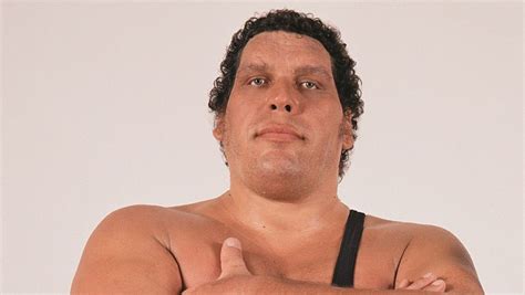 His parents and four siblings were of average size. Andre The Giant Net Worth: 5 Facts You Should Know