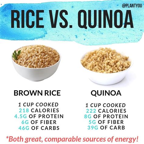 1 Cup Of Brown Rice Nutrition Facts Effective Health