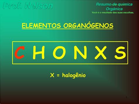 O Que São Elementos Organógenos