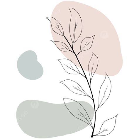 Botanical Aesthetics Png Vector Psd And Clipart With Transparent