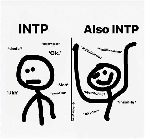 Pin By 🧃 On Intj T Intp Personality Type Intp Personality Mbti