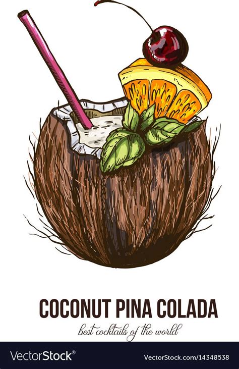 Coconut Pina Colada Vector Image On Vectorstock Pina Colada Food