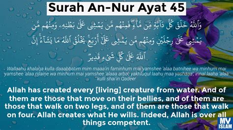 Surah An Nur Ayat 45 24 45 Quran With Tafsir My Islam