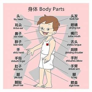 Záró Tábla Tartály Diadalmas Body Parts In Chinese Kent Elvetése Párbeszéd