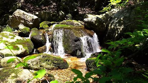 Asmr 자연의소리 힐링스페셜 쉼중원계곡 폭포sounds Of Nature The Sound Of Water Youtube