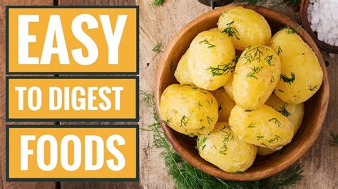 6 Foods That Are Super Easy To Digest Youtube