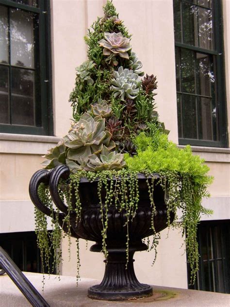 13 Topiary Planter Ideas That Will Have You Priming Your Shears