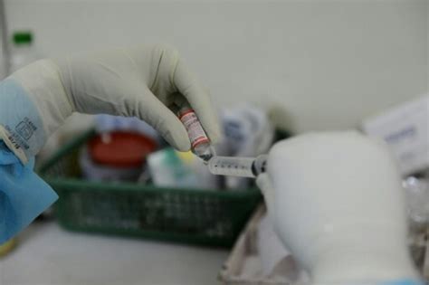 انفلونزا الخنازير تودي ب 33 شخصا في ثلاثة اسابيع في ايران Swi Swissinfoch