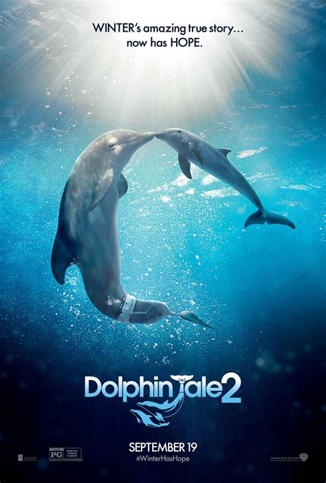 Dolphin Tale 2 Dvd Release Date Redbox Netflix Itunes Amazon