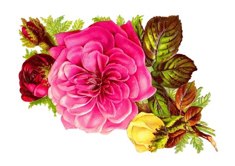 Antique Images Rose Bouquet Clip Art Of Pink Red And