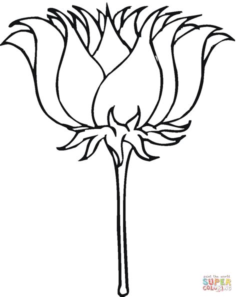 Lotus Blossom Coloring Page Free Printable Coloring Pages