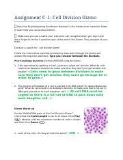 What do cells need to do between. C-1.1 Assignment Cell Division Gizmo.docx - Assignment C-1 Cell Division Gizmo Read the ...