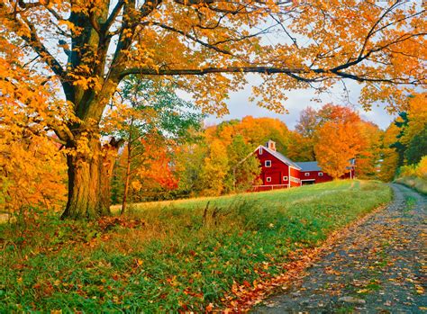 51 Photos That Prove America Truly Is Beautiful Autumn Scenery Barn