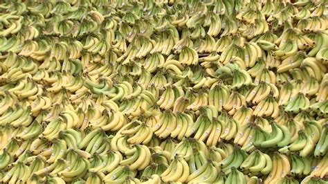 A 70k Pound Banana Display In A Chicago Suburb Is Hoping To Break A