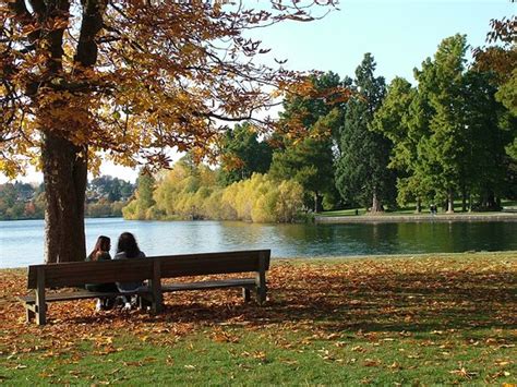 Green Lake Park Seattle All You Need To Know Before You Go