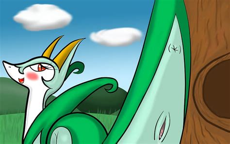 Agnph Gallery Bsting Butt Female Serperior Snake Solo Hd