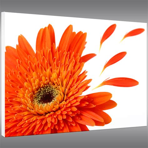 Forex bild wandhalterung selber machen. Wandtattoos folies : Forex Bild Blume
