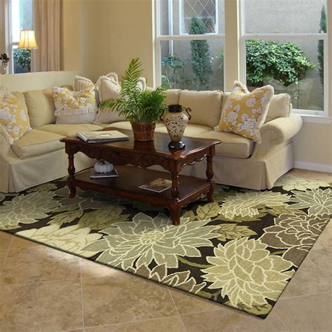 Transitional Area Rugs And Contemporary Area Rugs In Kansas City