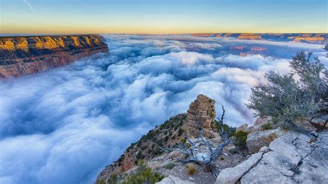 Morning Foggy In National Park Grand Canyon Arizona Landscape Nature Hd