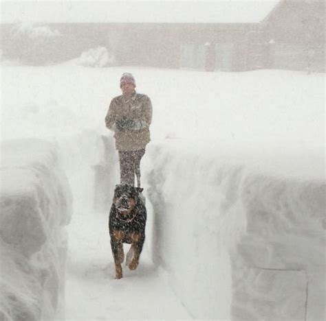 Photos Buffalo Buried In 6 Feet Of Snow Cw33 Dallas Ft Worth