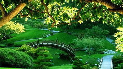 Beautiful Green Scenery Garden Hd Beautiful Wallpapers Hd Wallpapers