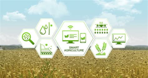 Modernizing Indian Agriculture through Innovations ...