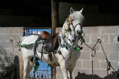 Centre équestre, équitation, excursion, cheval, guide, plage le centre équestre ferme du centaure vous offre plusieurs services : Centre équestre pour randonnée à cheval en groupe Dans Le ...