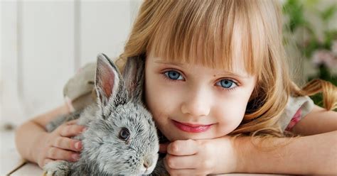 أرنب, أرانب جميلة, فروي, الأرانب رقيق png و psd. صور ارانب 2020 اجمل خلفيات ارانب | مصراوى الشامل