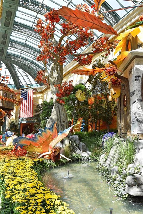 Photos Autumn Display At Bellagio Conservatory And Conservatory