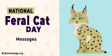National Feral Cat Day 2023 Quotes Wishes Messages In 2023