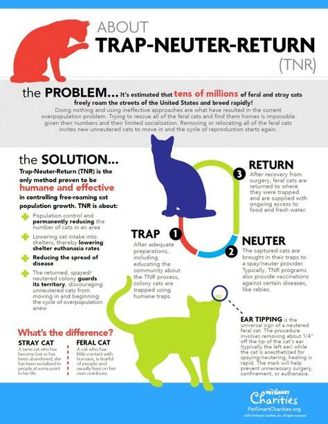 Great Infographic About The Trap Neuter Return Method For Controling