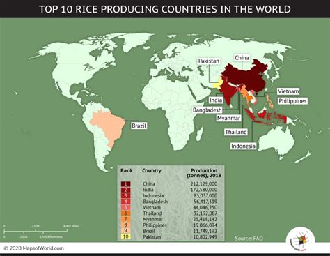 Top Ten Rice Producing Countries Map